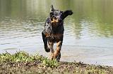 BEAUCERON 654